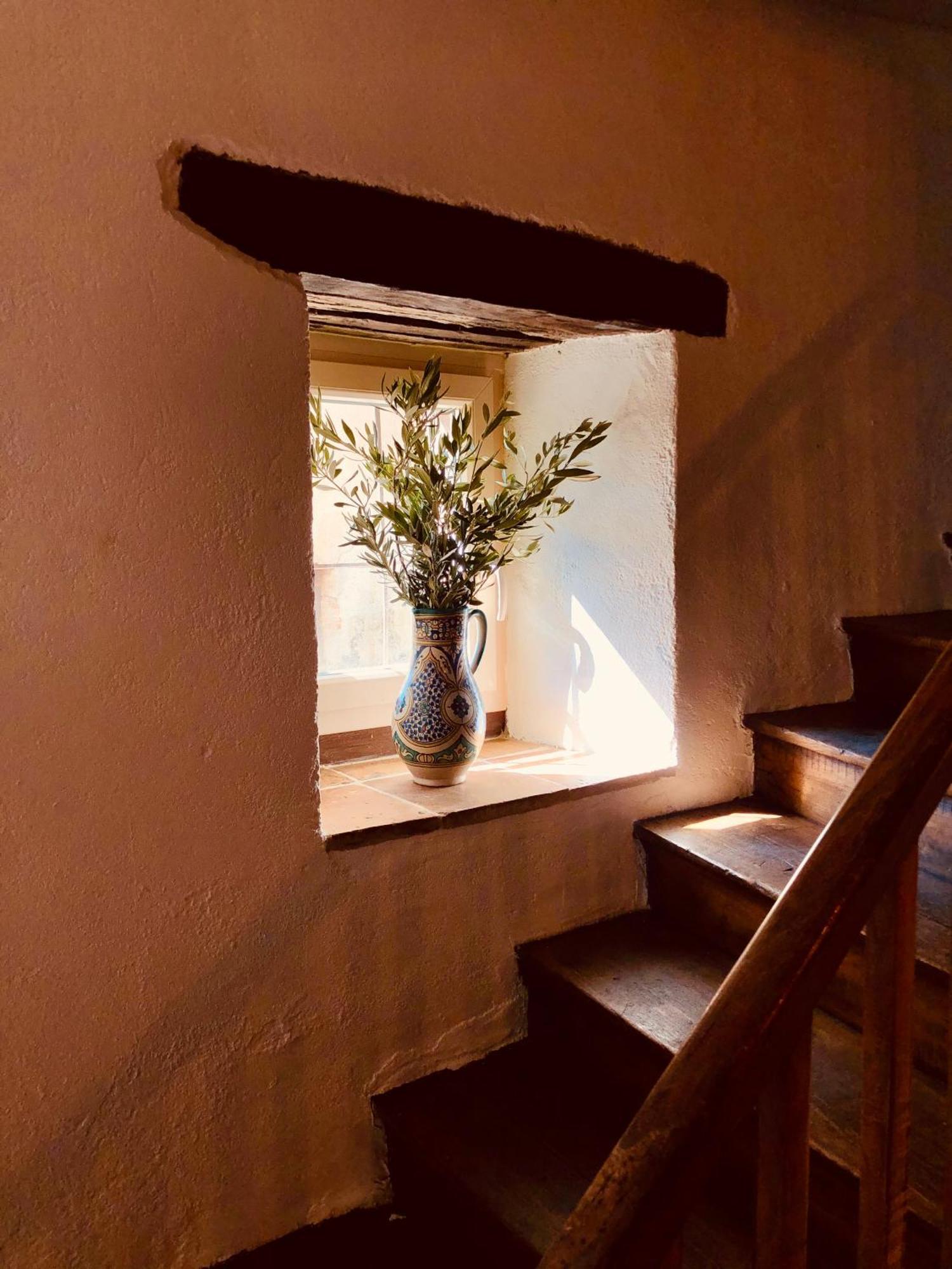 Maison De L'Aurausse Les Cabannes  Zewnętrze zdjęcie